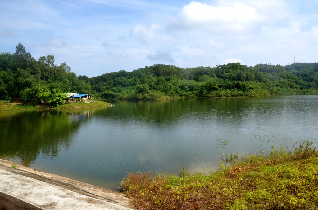 DSC_0012.JPG